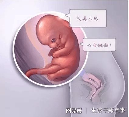 关于明远生殖医学中心